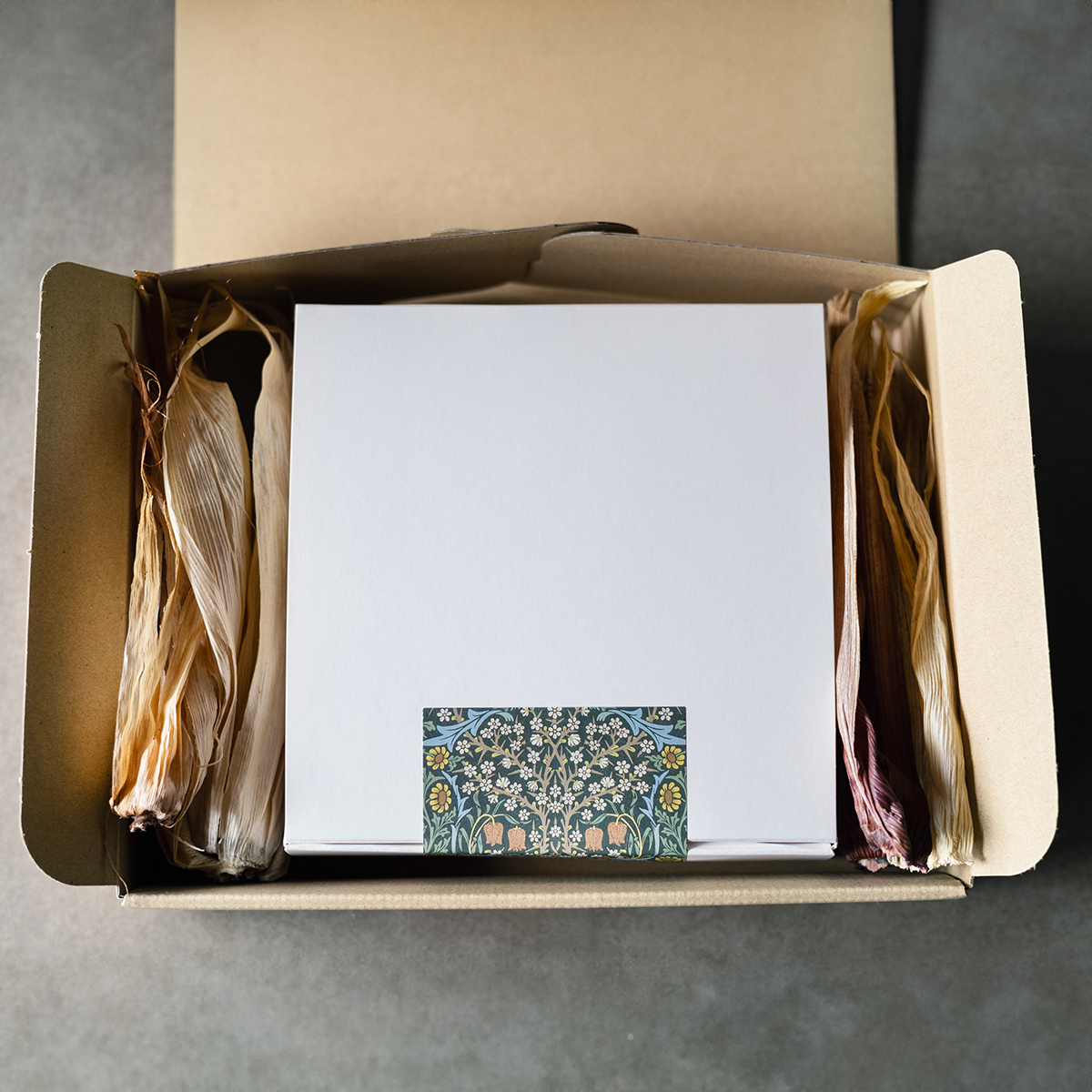 譟壼ュ舌ョ繧コ繧ウ繝繝磯「ィ繧ア繝シ繧ュ 5蜿キ 譟壼ュ 繧縺 縺縺。縺 闍コ 辟。豺サ蜉 謇倶ス懊j 縺薙□繧上j 繝励Ξ繧シ繝ウ繝 繧ョ繝輔ヨ