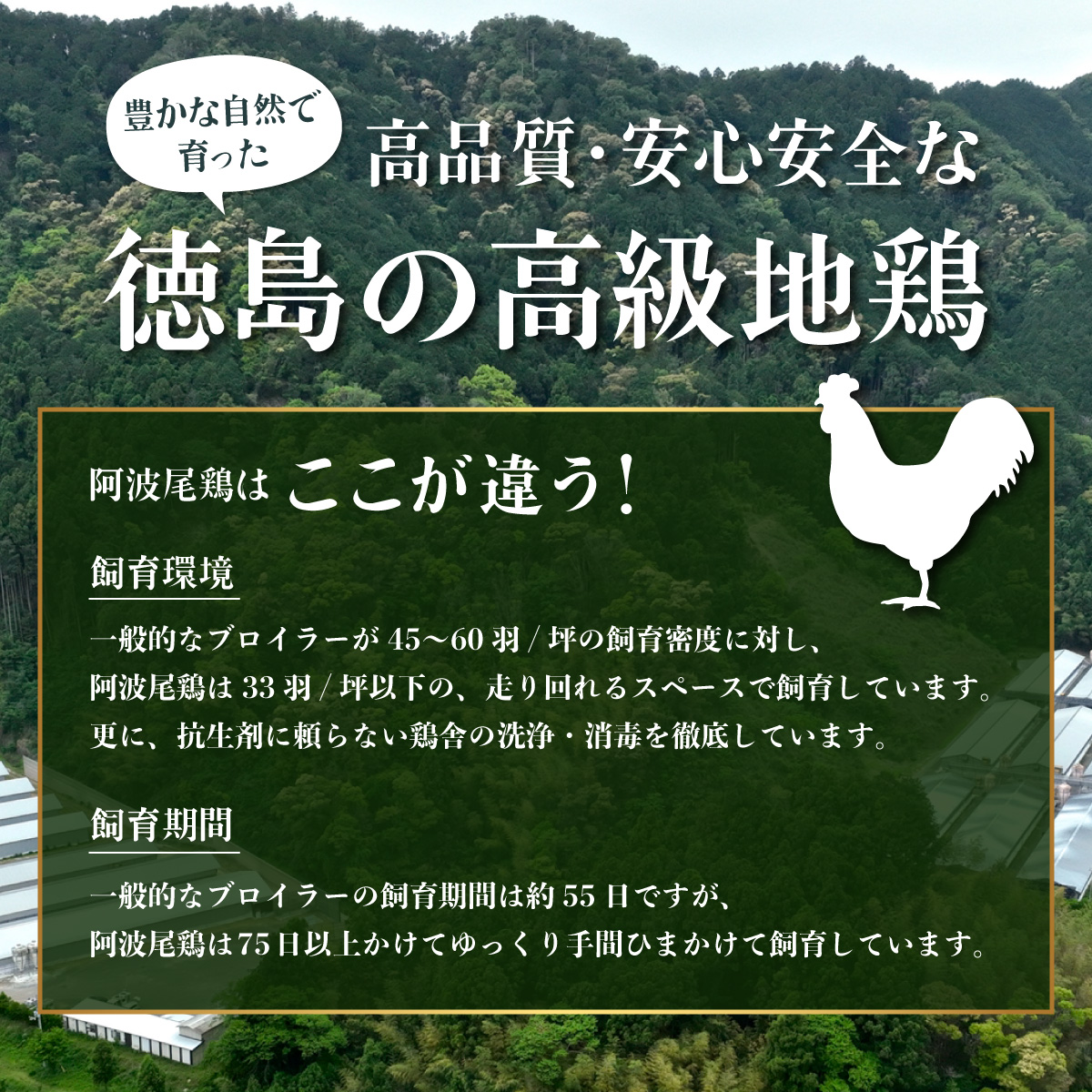 阿波尾鶏 パストラミ 130g×2P 燻製 地鶏 国産 洋風 惣菜 冷凍