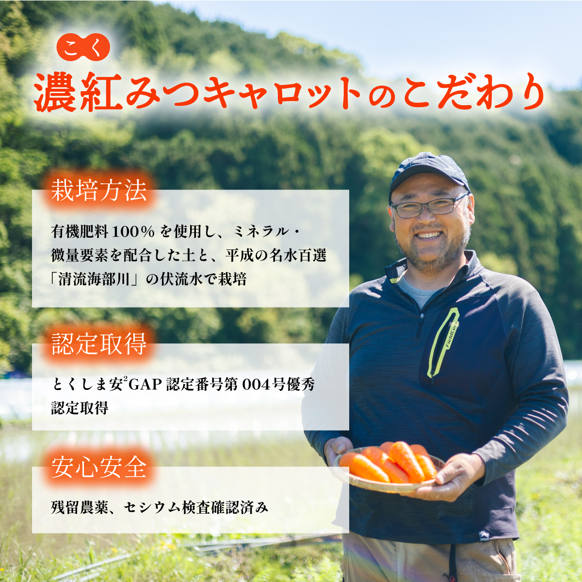 濃紅みつキャロット 2kg 無選別 にんじん ニンジン 人参
