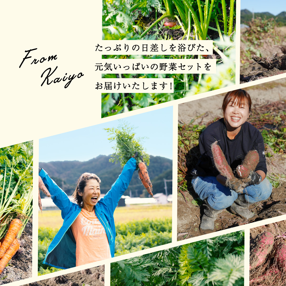 譌ャ縺ョ縺企手除隧ー繧∝粋繧上○ 蟄」遽縺ョ縺企手除 縺企手除縺繧阪>繧 繧サ繝繝