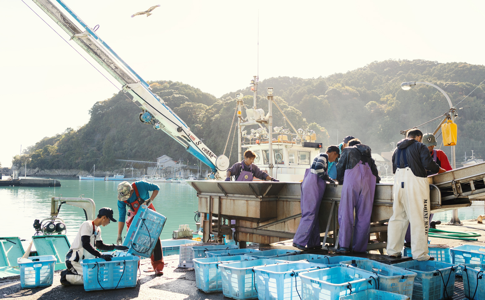 産地直送！ 海陽町より旬の魚をお届け！ 鮮魚セット お試し 約1.5～2kg 詰め合わせ