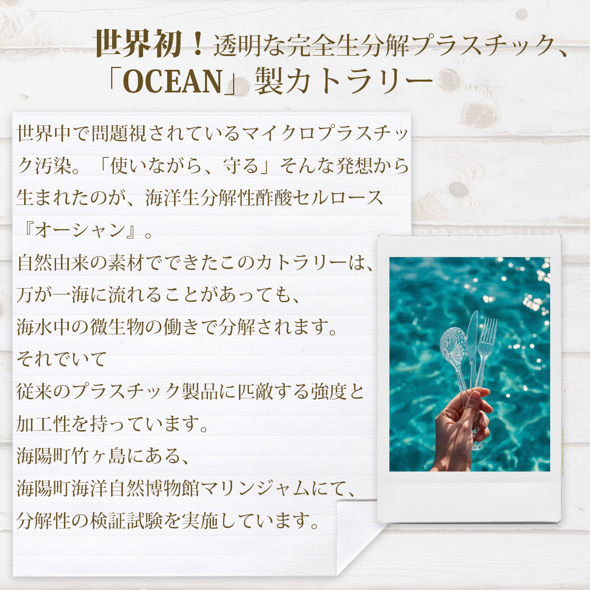 先行予約 阿波尾鶏と海しそのリゾット 3食 セット 生クリーム仕立て 防災食【2026年6月以降発送】