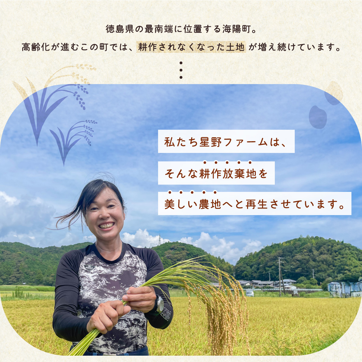 さつまいも 食べ比べ 3種 計5kg