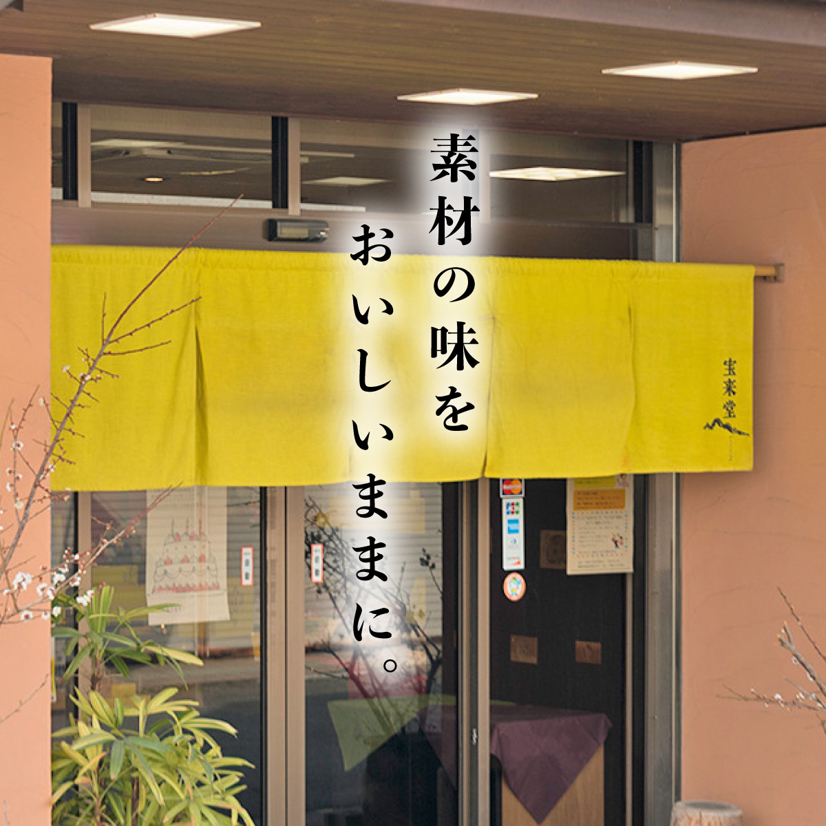 螳晄擂蝣ゅョ蜥梧エ玖藷蟄 隧ー繧∝粋繧上○