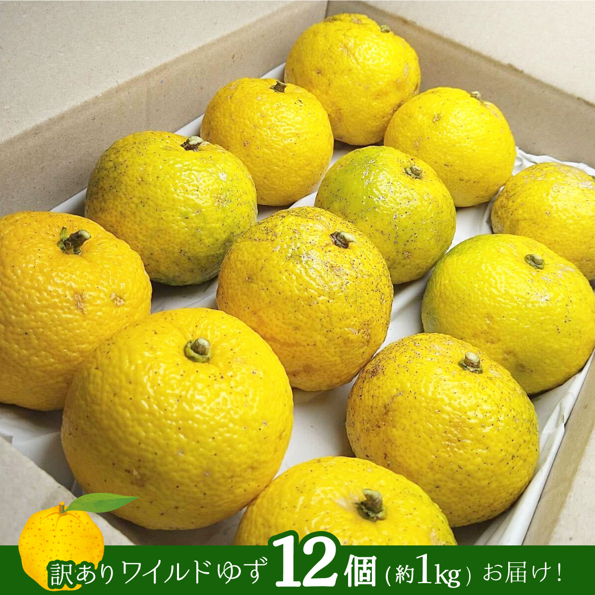 【期間限定】ワイルドゆず12個（約１kg）