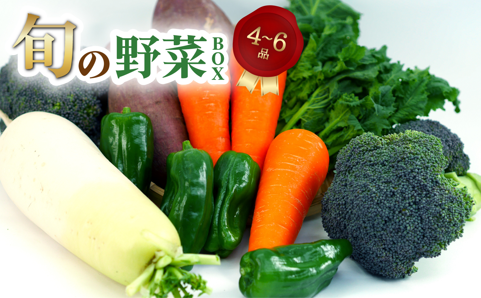 旬のお野菜詰め合わせ 季節のお野菜 お野菜いろいろ セット