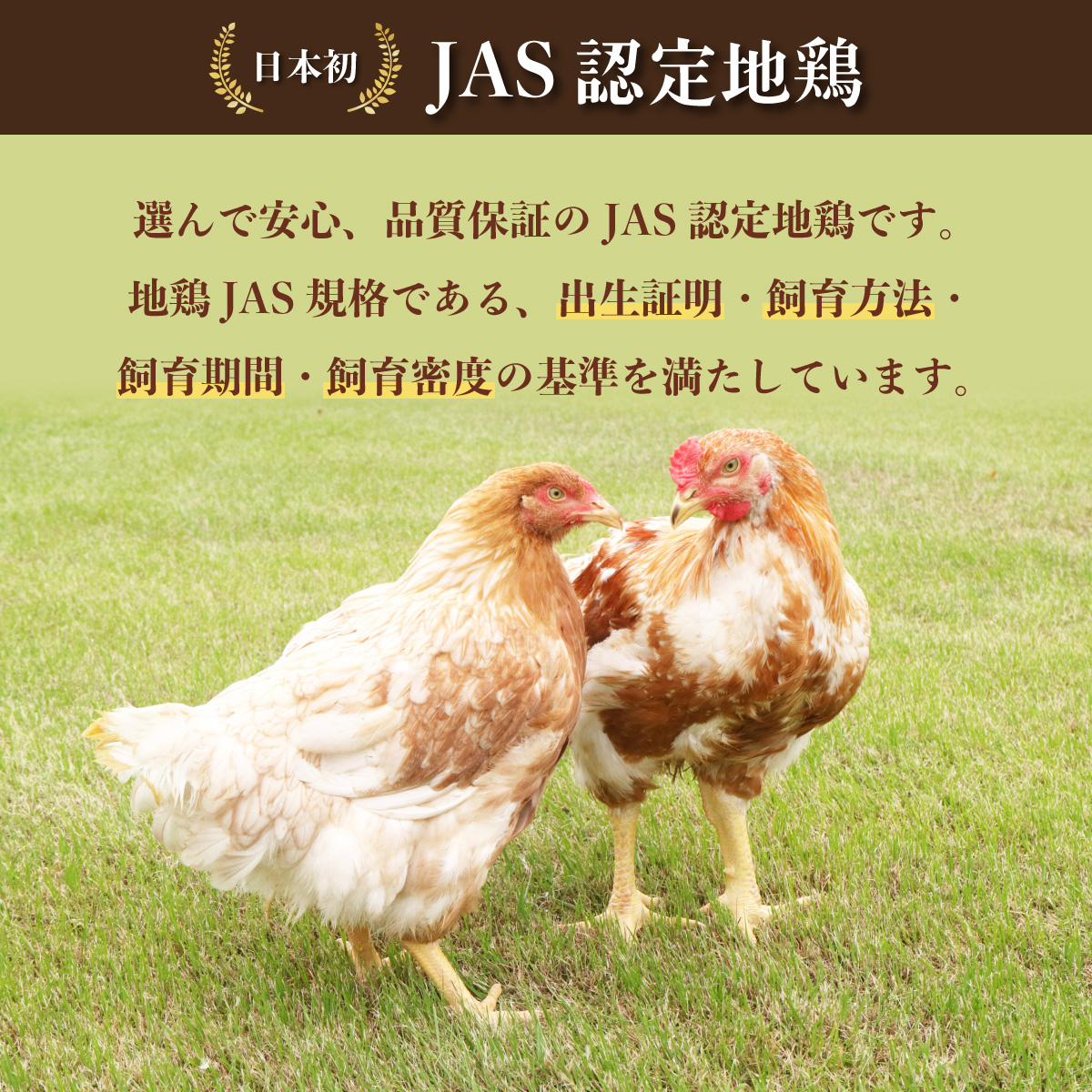 【阿波尾鶏のお肉定期便　３か月連続】阿波尾鶏もも肉２ｋｇ　３回お届け