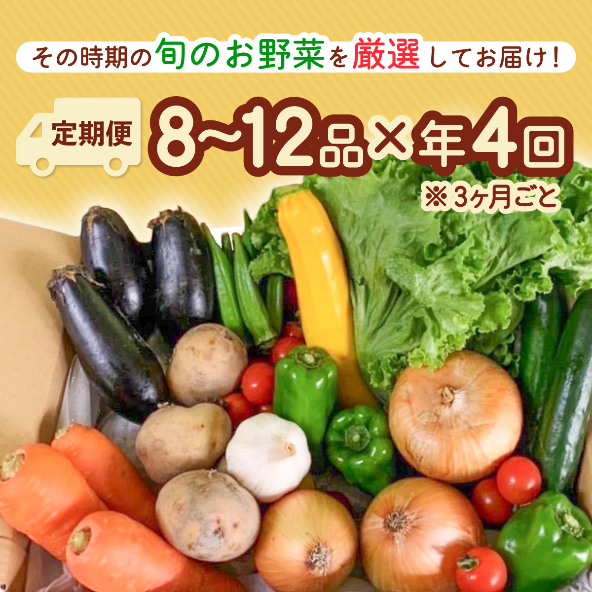 【定期便年4回】阿波の国海陽町 旬のお野菜詰め合わせセット 8～12品×4回 野菜 定期便 野菜定期便 年4回 徳島県 海陽町産 野菜セット 季節の野菜 詰め合わせ おまかせ