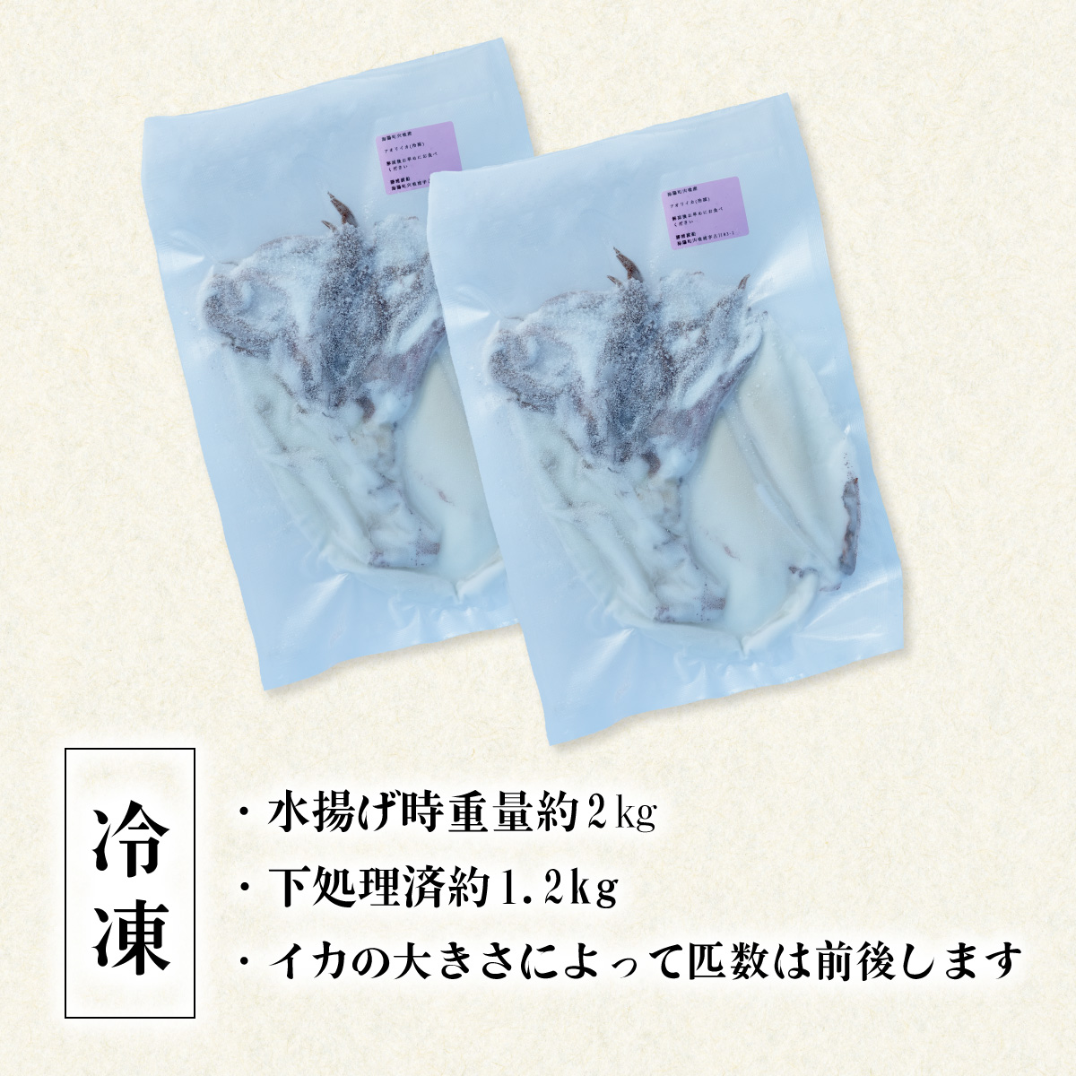 アオリイカ 約2kg 産地直送 冷凍 下処理あり イカ あおりいか いか 烏賊 水揚げ時重量約2kg 下処理後約1.2kg