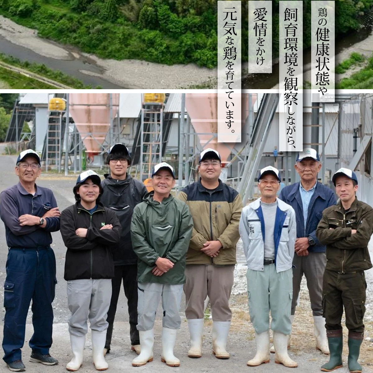 阿波尾鶏丸鶏ローストチキン