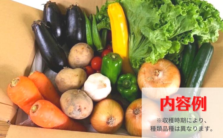 阿波の国海陽町　旬のお野菜詰め合わせセット１０-１３品