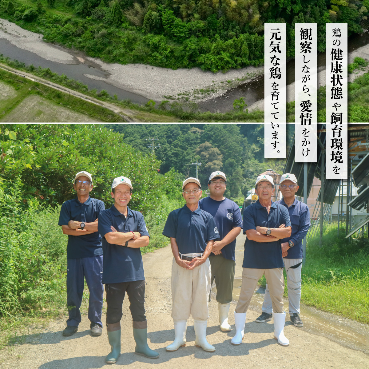 縲宣仭豕「蟆セ鮓上ヰ繝ゥ蜃咲オ仙ョ壽悄萓ソ 6縺区怦騾」邯壹鷹仭豕「蟆セ鮓 繧ゅb閧 蛻繧願コォ 繝舌Λ蜃咲オ 600gテ6蝗 險3.6kg 鮓剰i 鮓上b繧 髦ソ豕「蟆セ鮓 蜀キ蜃 蝨ー鮓