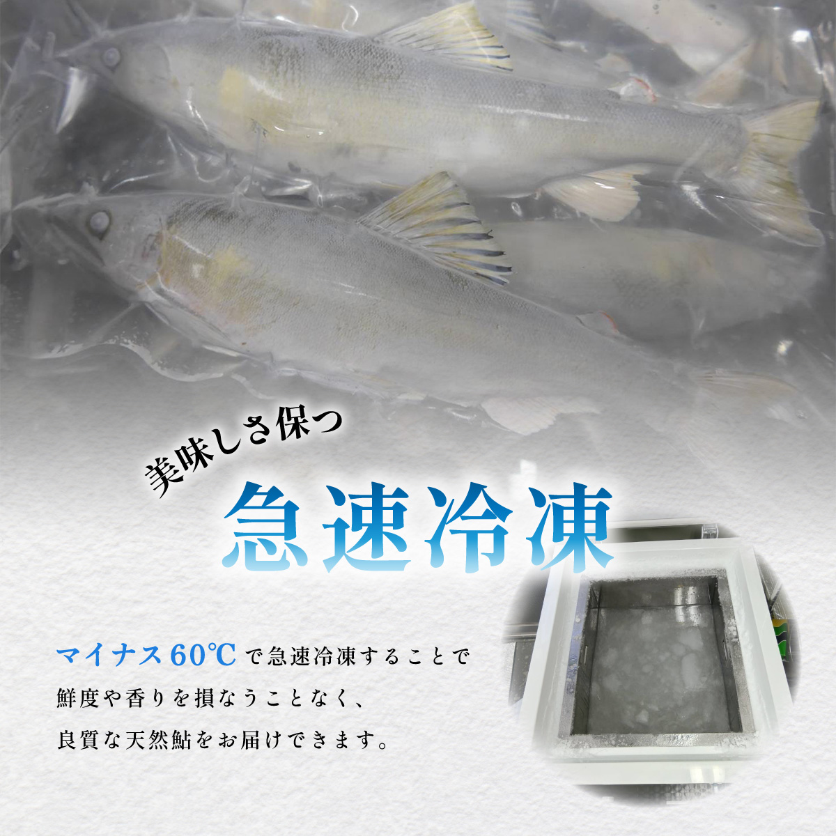 天然波乗り鮎 約200g 2～3尾 鮎 天然 約200g あゆ アユ 天然鮎 清流 海部川 川魚 冷凍 