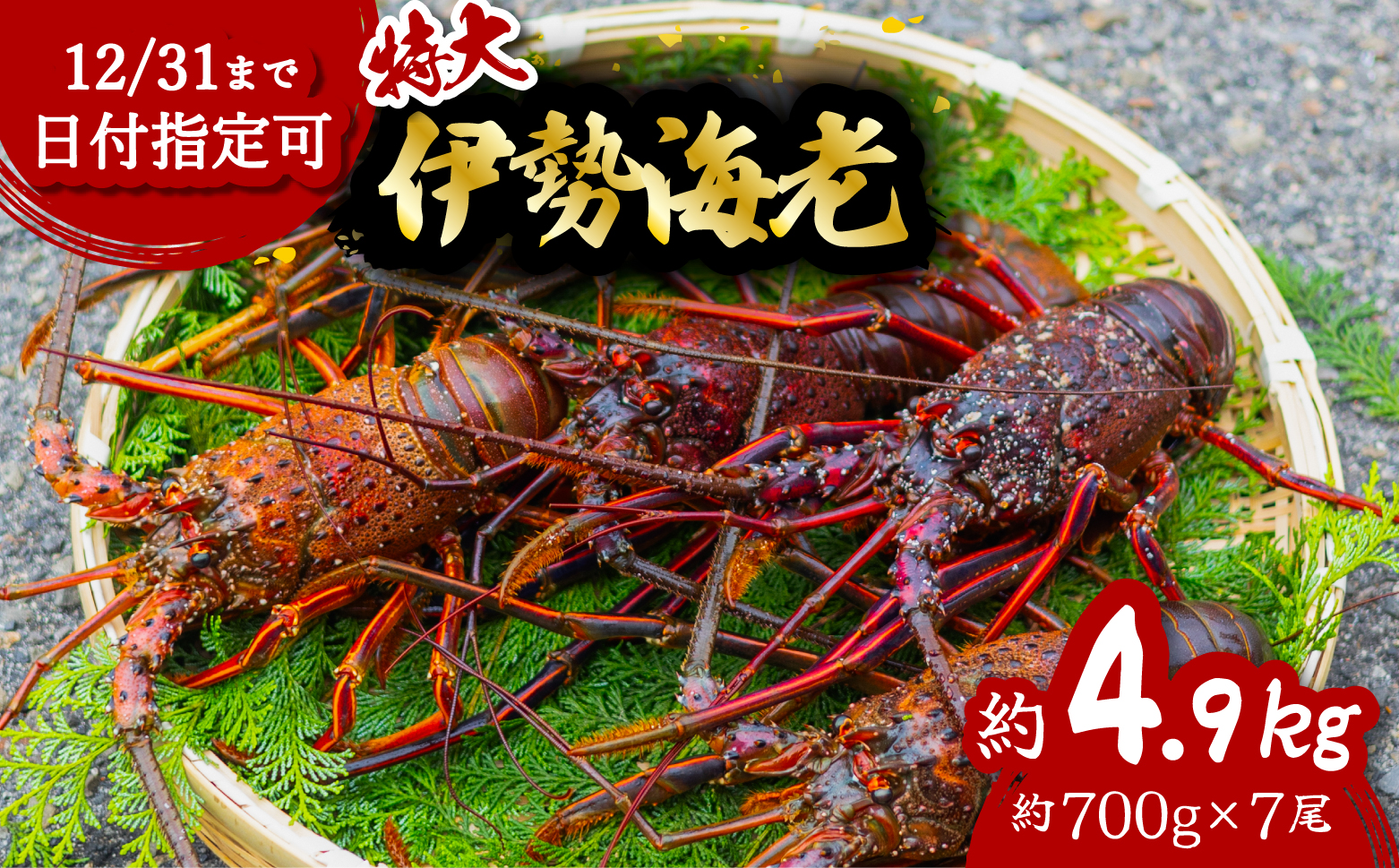 伊勢海老 特大 約4.9kg 約700g×7尾 伊勢えび 伊勢エビ いせえび イセエビ 海老 えび エビ 海鮮 海産物 海の幸 おせち 高級 国産 海鮮 ギフト 【配送日指定】