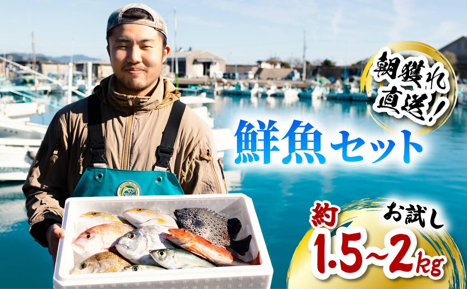 産地直送！ 海陽町より旬の魚をお届け！ 鮮魚セット お試し 約1.5～2kg 詰め合わせ