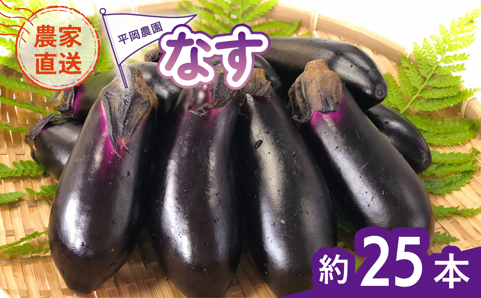 なす 約25本 茄子 ナス 産地直送 天敵栽培 【2026年7月以降順次発送】