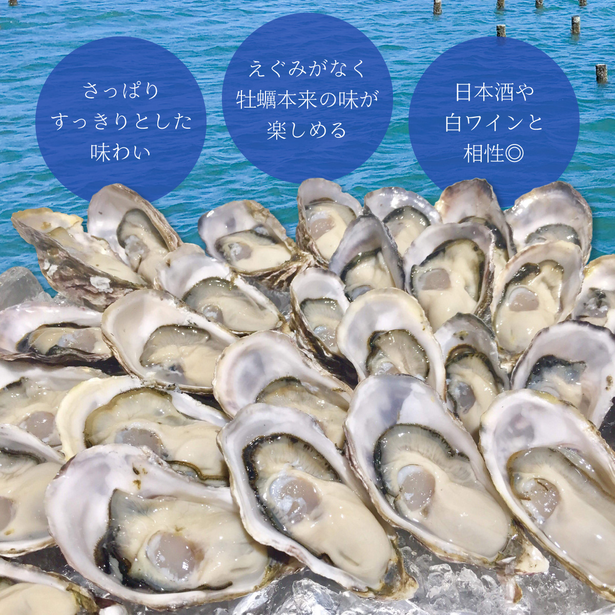 あまべ牡蠣 冷凍 10個 約600g 牡蠣 シングルシード 生食用 殻付き かき カキ オイスター 生ガキ 生牡蠣 生がき 生かき