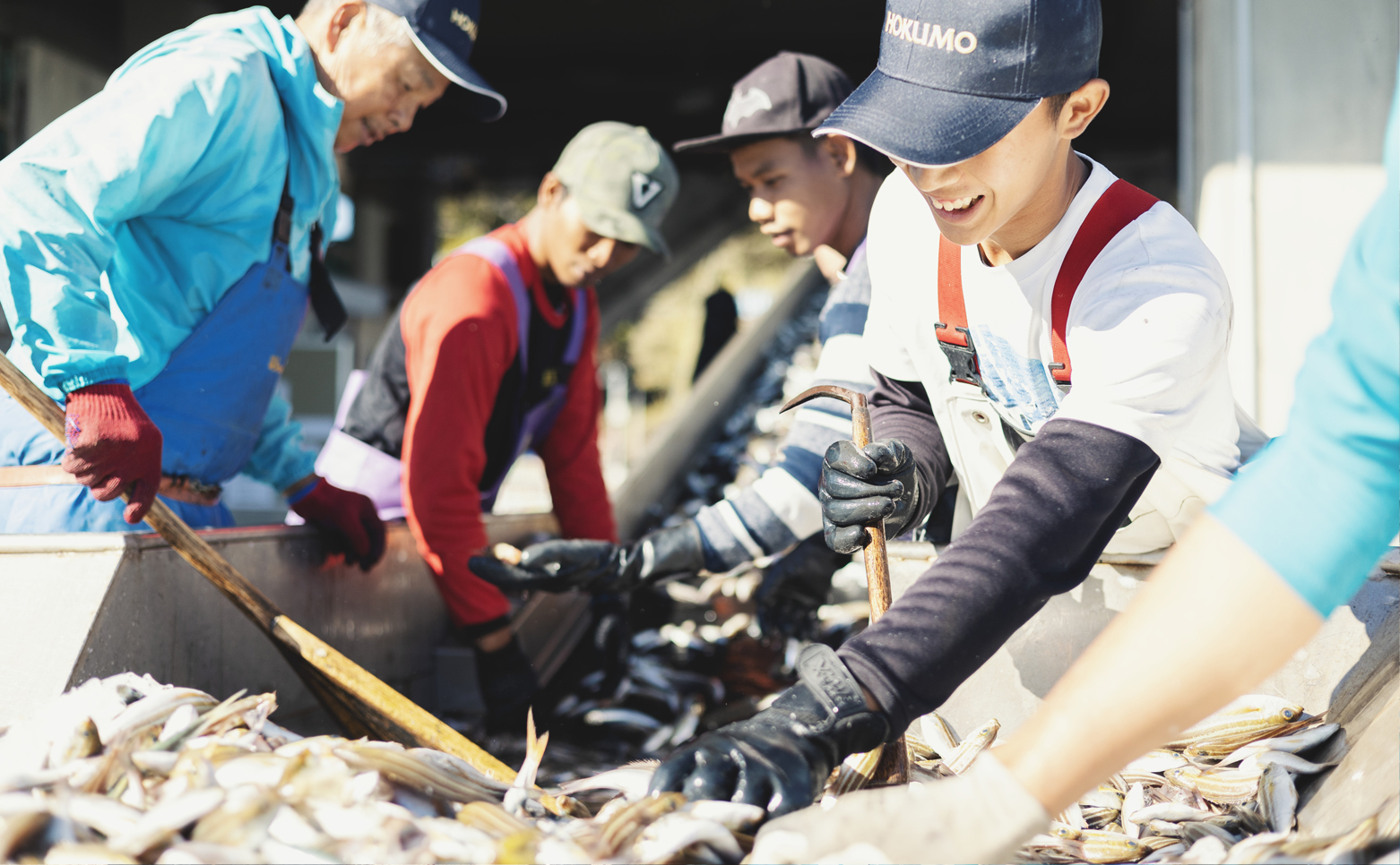 【先行予約受付中】 産地直送！ 超特大！海陽町よりブリまるごと１本をお届け！ ぶり 鰤 海鮮 新鮮 魚 国産 ぶりしゃぶ 