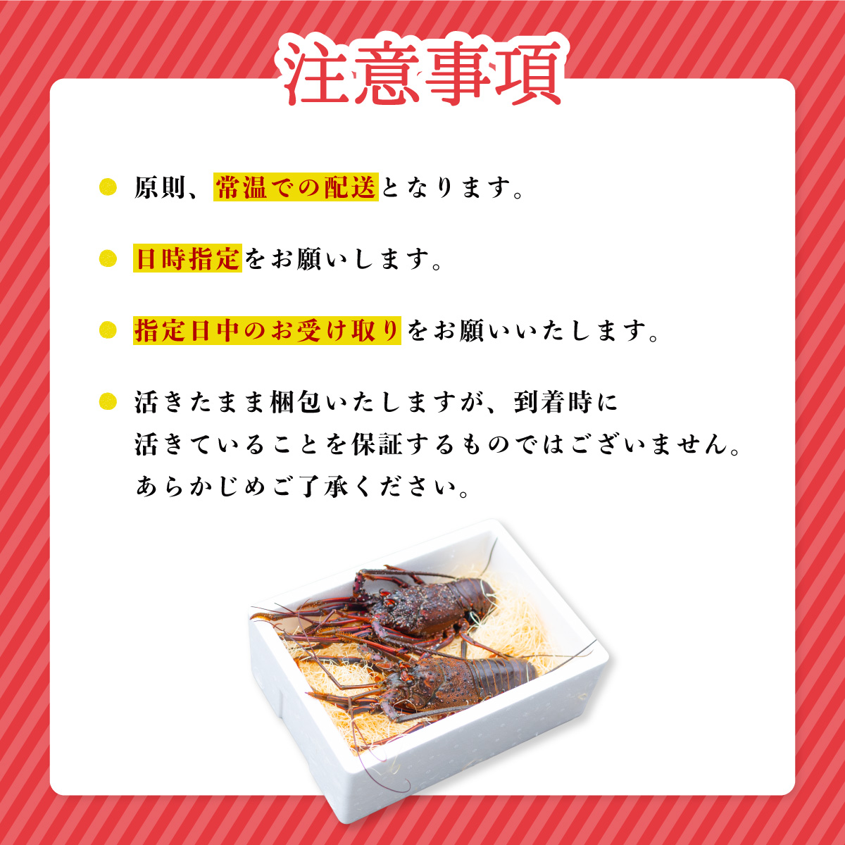 伊勢海老 特大 約700g 約700g×1尾 伊勢えび 伊勢エビ いせえび イセエビ 海老 えび エビ 海鮮 海産物 海の幸 おせち 高級 国産 海鮮 ギフト 【配送日指定】