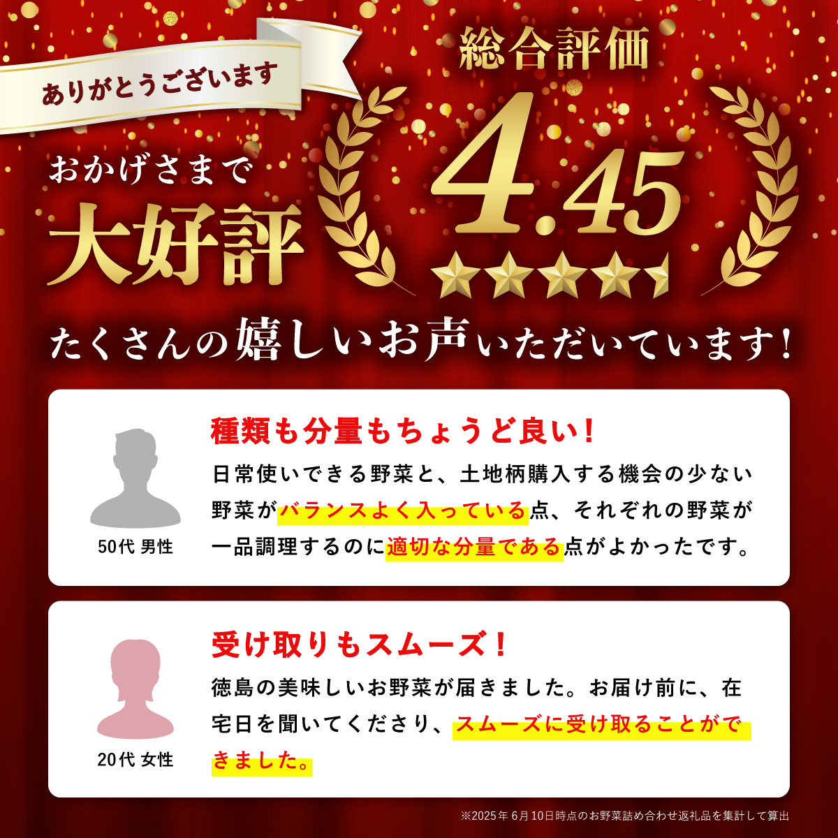 【定期便年2回】阿波の国海陽町 旬のお野菜詰め合わせセット 8～12品×2回 野菜 定期便 野菜定期便 年2回 徳島県 海陽町産 野菜セット 詰め合わせ 4-5名様以上 向け 季節の野菜 やさい 産地直送 新鮮 採れたて お試し