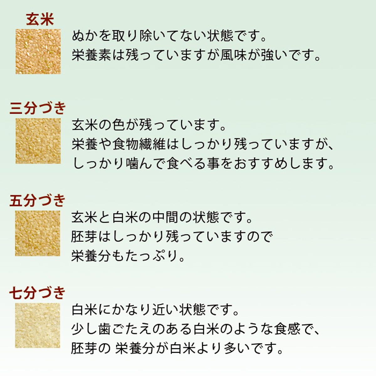 【先行予約】こしひかり 玄米時重量 5kg×2袋 10kg 分づき米 対応可 真空パック コシヒカリ 米 簡易梱包 エコ梱包【８月下旬以降順次お届け】