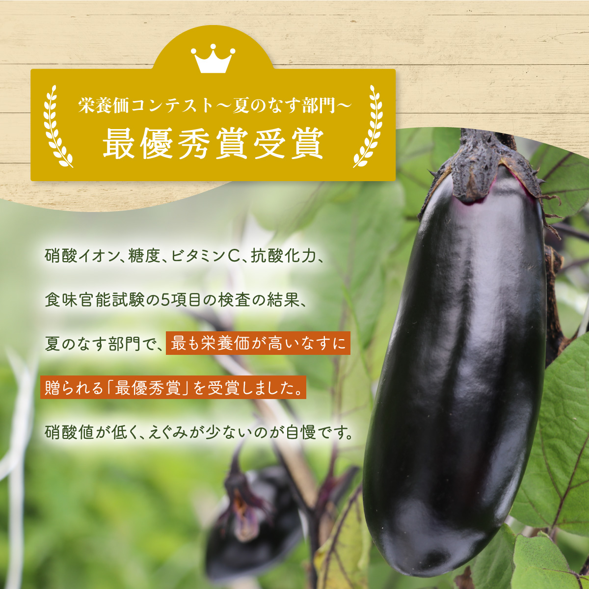 螟城手除 隧ー繧∝粋繧上○ 螟ァ繧サ繝繝 縺ェ縺 縺翫¥繧 驥手除 闌蟄 繝翫せ 繧ェ繧ッ繝ゥ 逕」蝨ー逶エ騾 螟ゥ謨オ譬ス蝓ケ 縲2026蟷エ7譛井サ・髯埼谺。逋コ騾√