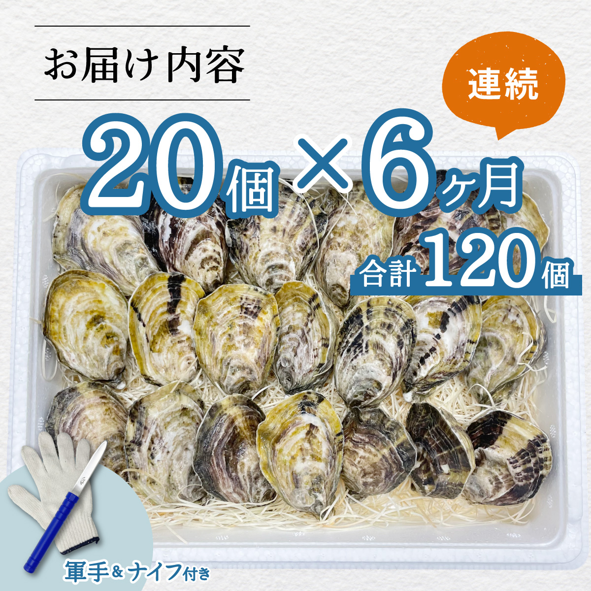 【あまべ牡蠣 20個 6ヶ月連続定期便】あまべ牡蠣 20個 6ヶ月定期便 120個 牡蠣 シングルシード 生食用 殻付き かき カキ オイスター 生ガキ 生牡蠣 生がき 生かき ギフト 貝 旨味