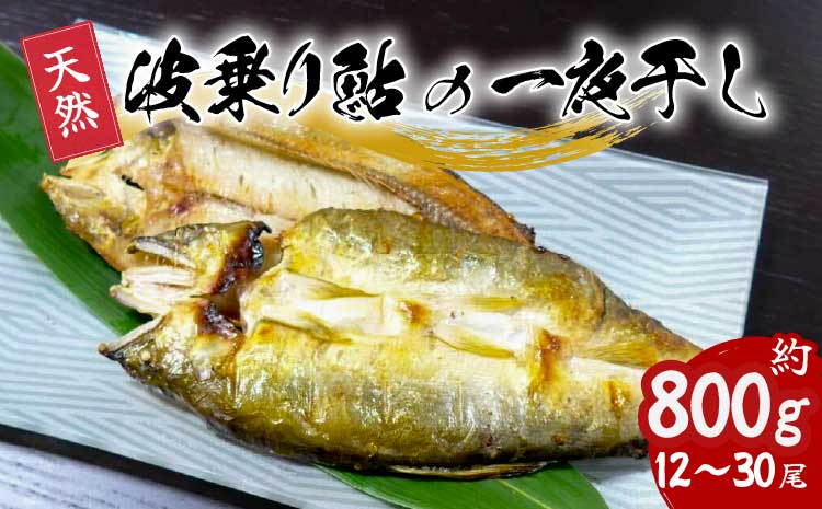 天然波乗り鮎の一夜干し 約800g 12～30尾 干物 一夜干し 鮎 天然 熟成 あゆ アユ 天然鮎 清流 海部川 川魚 簡単調理 冷凍