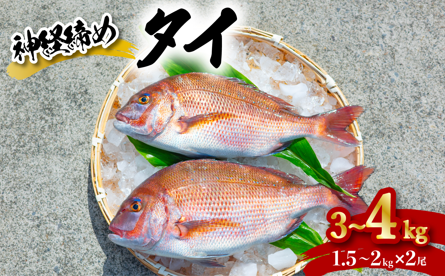 タイ 神経締め 2尾 計約3～4kg 鯛 たい 真鯛 マダイ 鮮魚 産地直送 冷蔵 養殖 国産