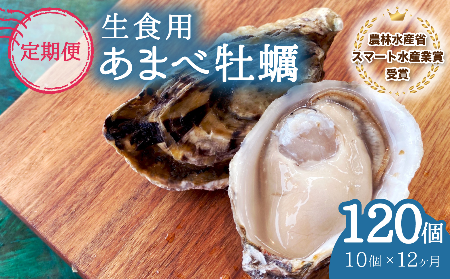 【あまべ牡蠣 10個 12ヶ月連続定期便】あまべ牡蠣 10個 12ヶ月定期便 120個 牡蠣 シングルシード 生食用 殻付き かき カキ オイスター 生ガキ 生牡蠣 生がき 生かき ギフト 貝 旨味