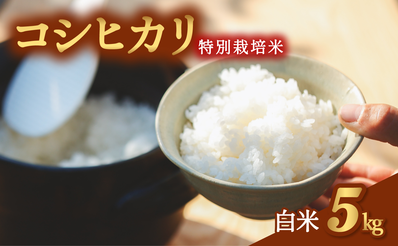 コシヒカリ 特別栽培米 白米 5kg