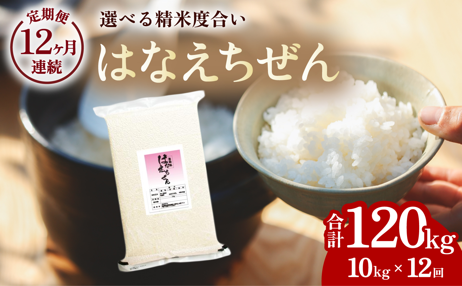 【先行予約】はなえちぜん 白米 5kg×2袋×12回 12ヶ月連続 定期便 120kg 真空パック ハナエチゼン 米 簡易梱包 エコ梱包【８月下旬以降順次お届け】
