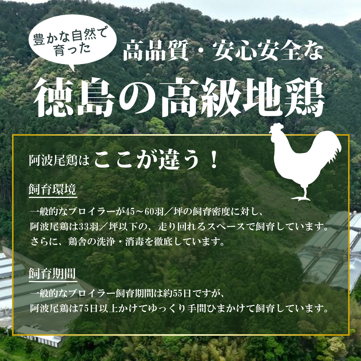 阿波尾鶏食べ比べ！もも肉・むね肉２kgセット