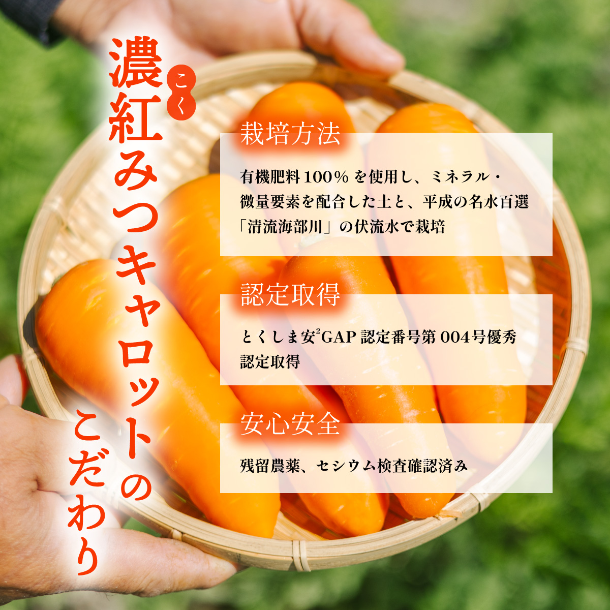 逋ス邀ウ 5kg +繝峨Ξ繝繧キ繝ウ繧ー2遞ョテ怜推1譛ャ 螻ア荳翫ヵ繧。繝シ繝縺ョ繧、繝√が繧キ繧サ繝繝 逋ス邀ウ 5kg 莉、蜥7蟷エ逕」 豼邏縺ソ縺、繧ュ繝」繝ュ繝繝 繝峨Ξ繝繧キ繝ウ繧ー 2遞ョ 繧「繧ュ繧オ繧ォ繝ェ 邀ウ 5繧ュ繝ュ