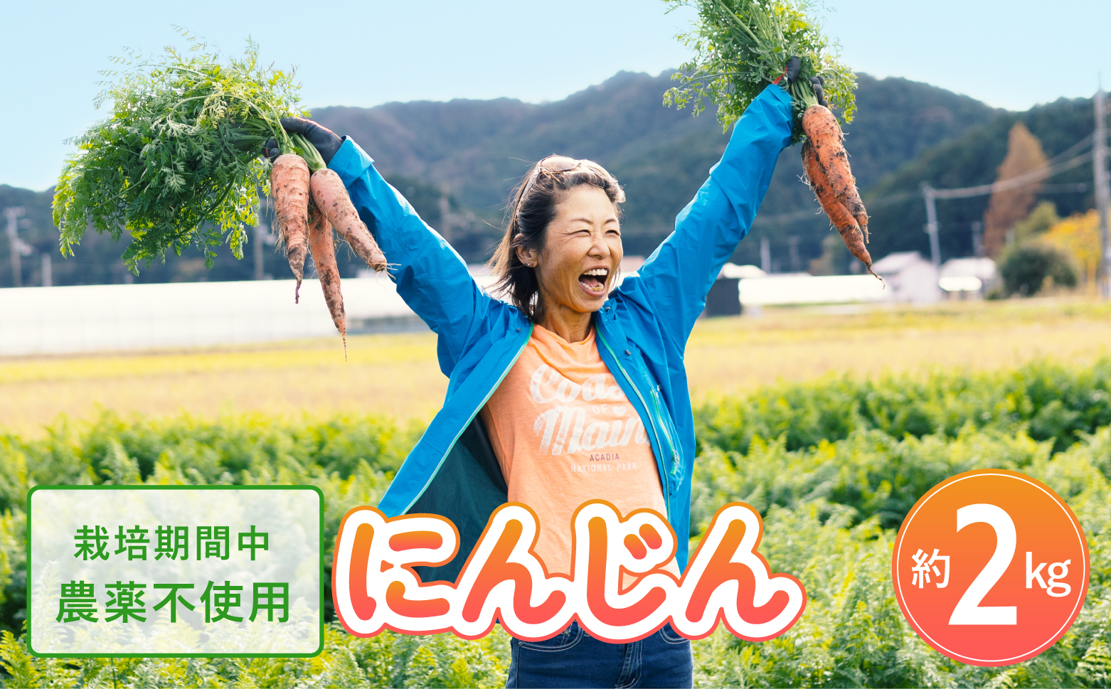 日本を平和にする人参　Peace&Carrots　約２kgセット