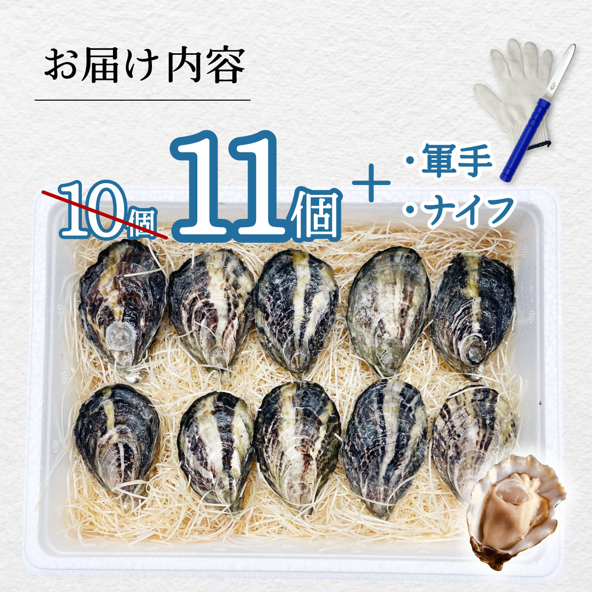 先行予約 あまべ牡蠣 11個 牡蠣 シングルシード 生食用 殻付き かき カキ オイスター 生ガキ 生牡蠣 生がき 生かき ギフト 貝 旨味 【2024年12月発送】