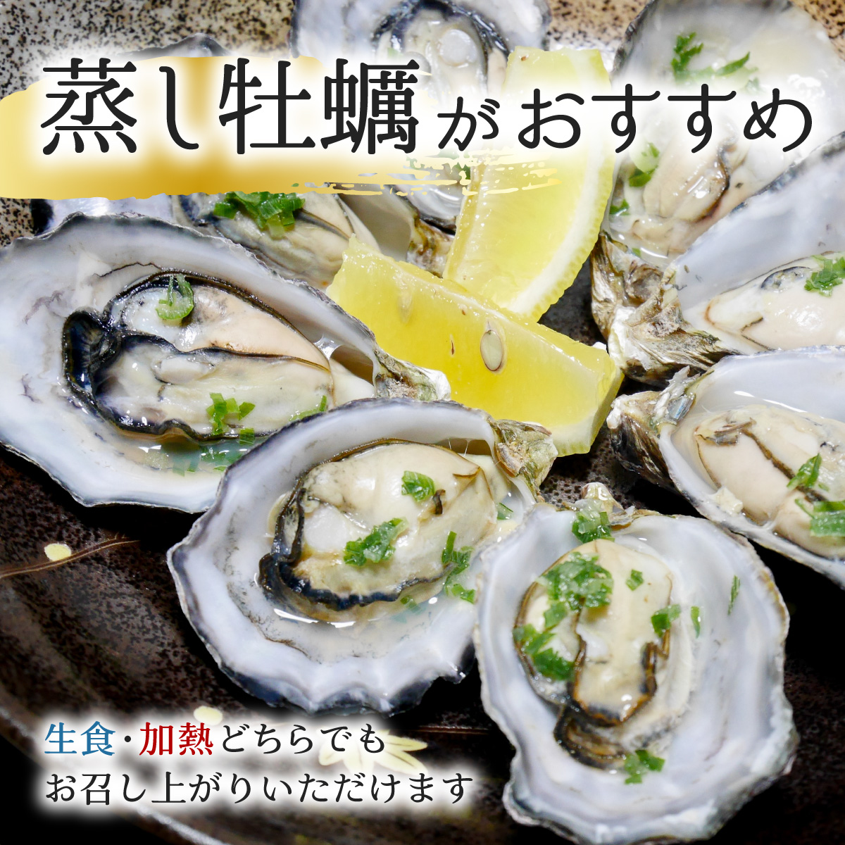あまべ牡蠣 冷凍 1kg 牡蠣 シングルシード 生食用 殻付き かき カキ オイスター 生ガキ 生牡蠣 生がき 生かき