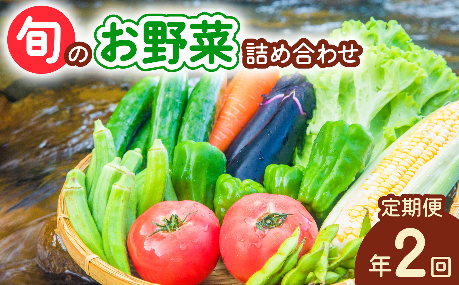 【定期便年2回】阿波の国海陽町 旬のお野菜詰め合わせセット 8～12品×2回 野菜 定期便 野菜定期便 年2回 徳島県 海陽町産 野菜セット 詰め合わせ 4-5名様以上 向け 季節の野菜 やさい 産地直送 新鮮 採れたて お試し