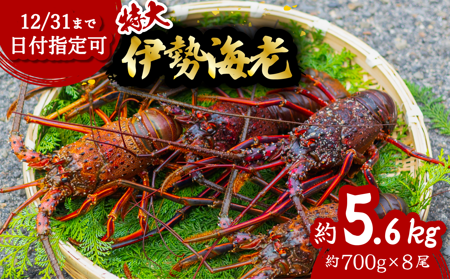 伊勢海老 特大 約5.6kg 約700g×8尾 伊勢えび 伊勢エビ いせえび イセエビ 海老 えび エビ 海鮮 海産物 海の幸 おせち 高級 国産 海鮮 ギフト 【配送日指定】