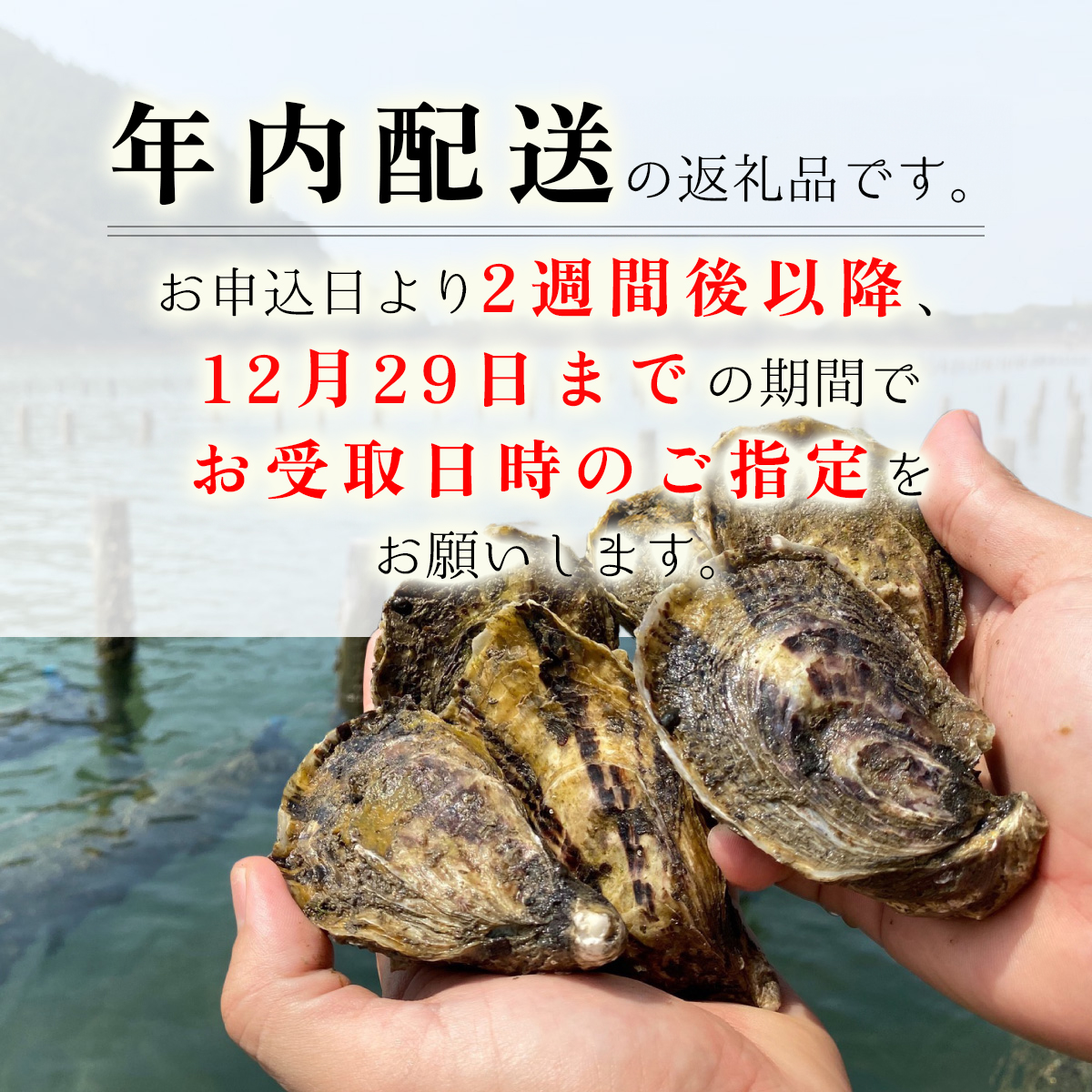 あまべ牡蠣 30個 牡蠣 シングルシード 生食用 殻付き かき カキ オイスター 生ガキ 生牡蠣 生がき 生かき ギフト 貝 旨味 【年内配送】