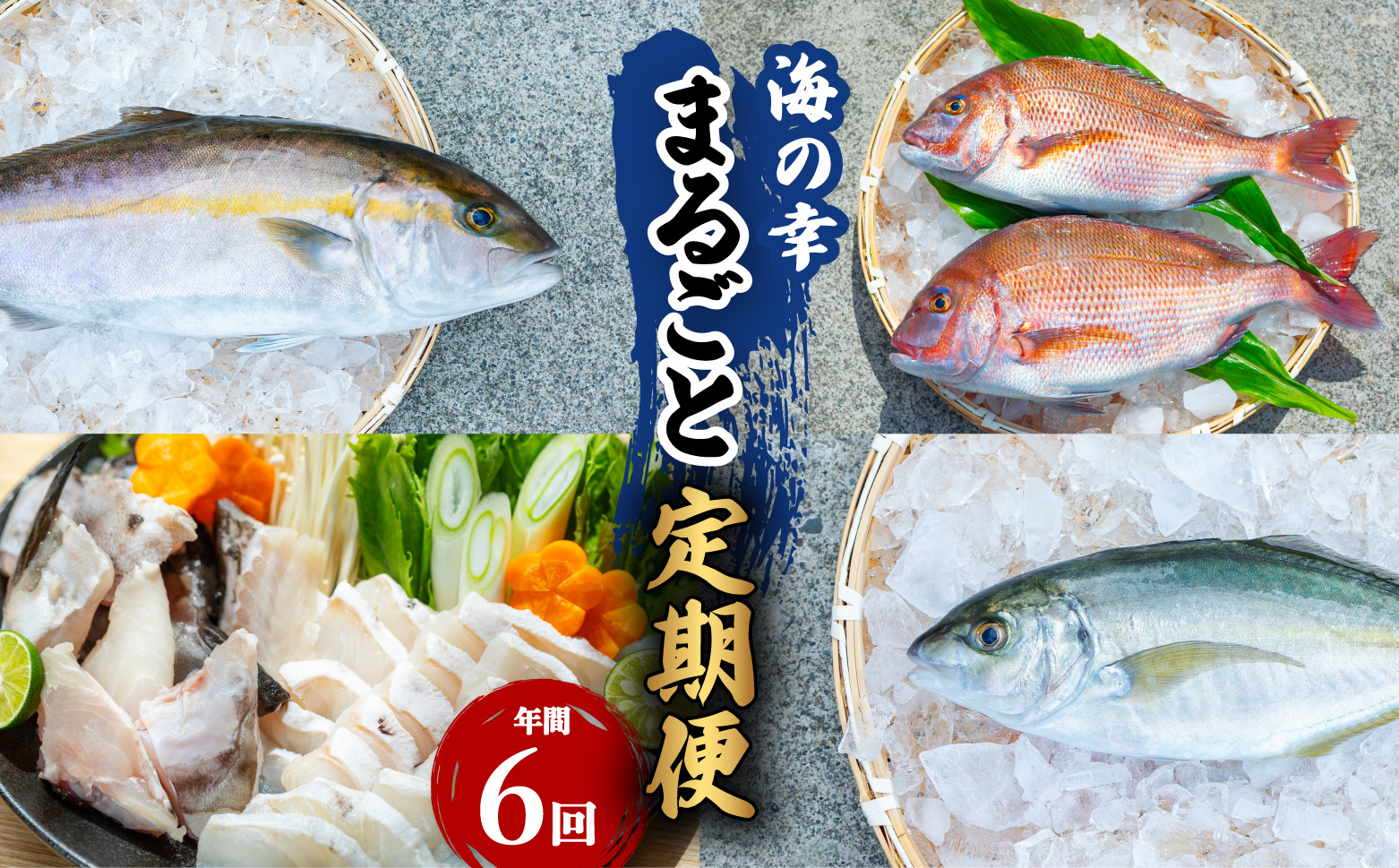 【定期便全６回】海の幸まるごと定期便 クエ くえ クエ鍋 タイ たい 鯛 カンパチ かんぱち 勘八 シマアジ しまあじ 伊勢海老 いせえび イセエビ