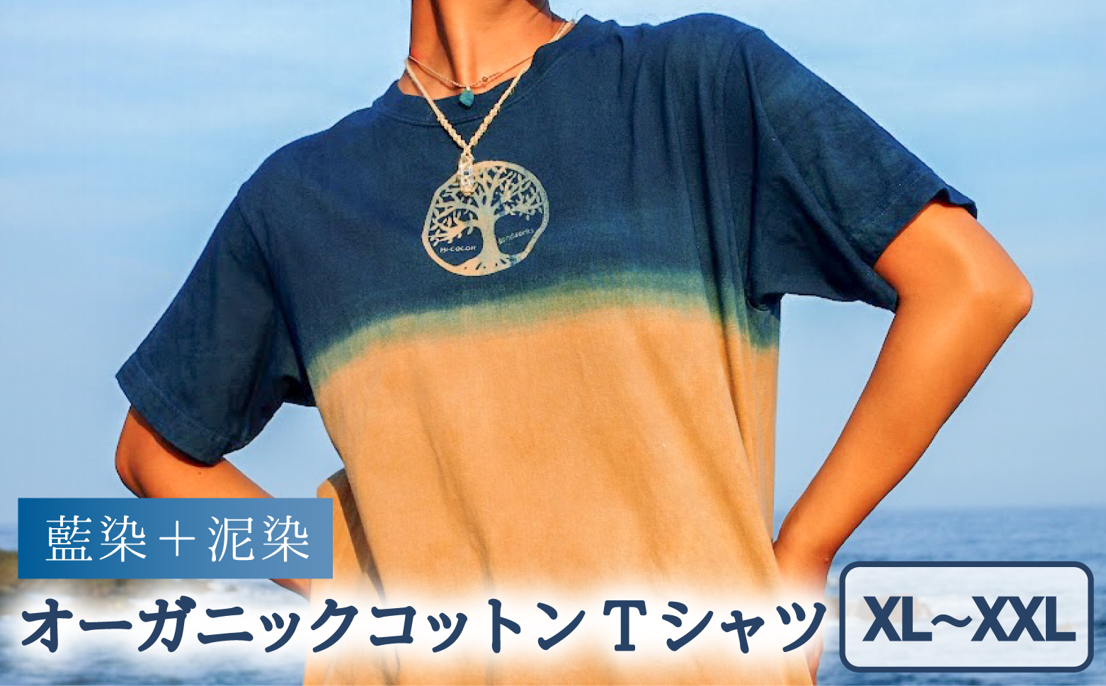 Tシャツ 藍染 泥染 XL/XXLサイズ オーガニックコットン 藍 藍染め 泥染め 宍喰祇園染 天然染料