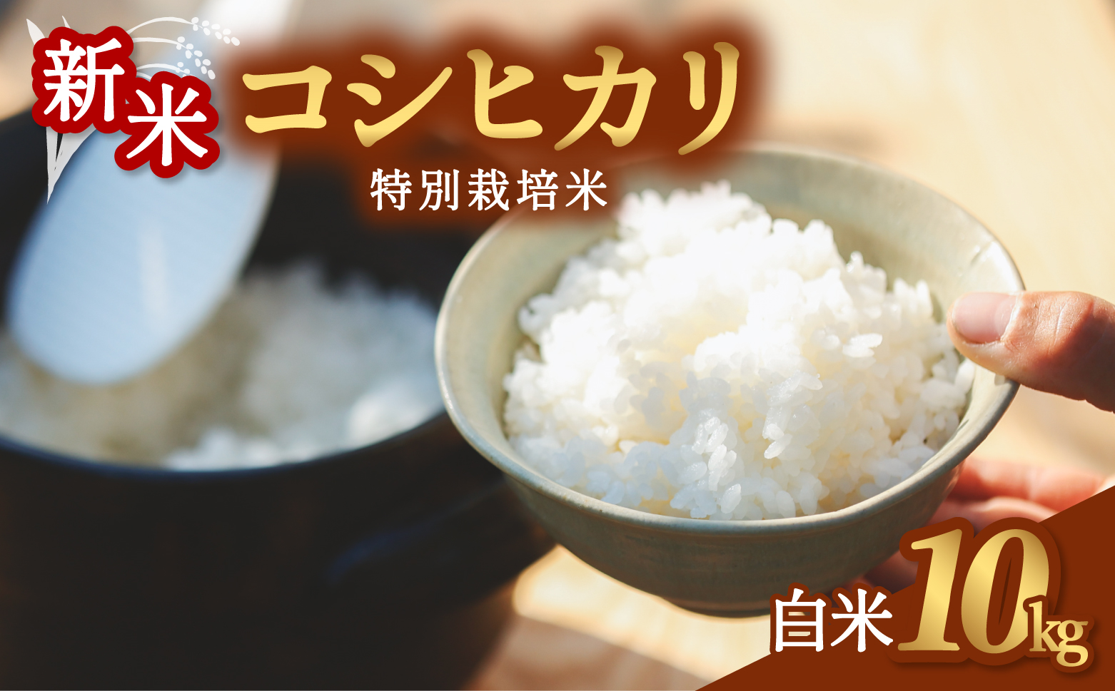 コシヒカリ 特別栽培米 白米 10kg