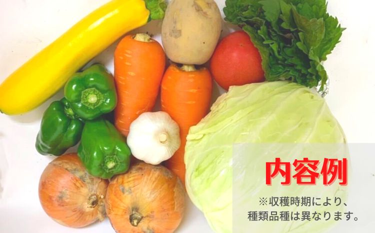阿波の国海陽町　旬のお野菜詰め合わせセット６-９品