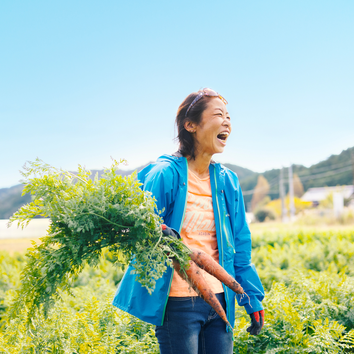 日本を平和にする人参　Peace&Carrots　約４kgセット　