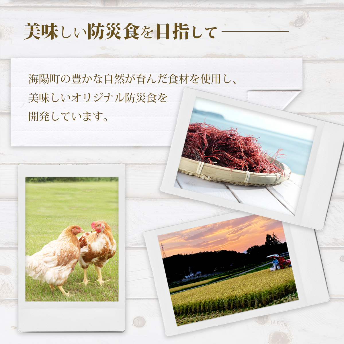 先行予約 阿波尾鶏と海しそのリゾット 2食 セット ブイヨン仕立て 生クリーム仕立て 各1食 計2食 防災食 【2026年6月以降発送】