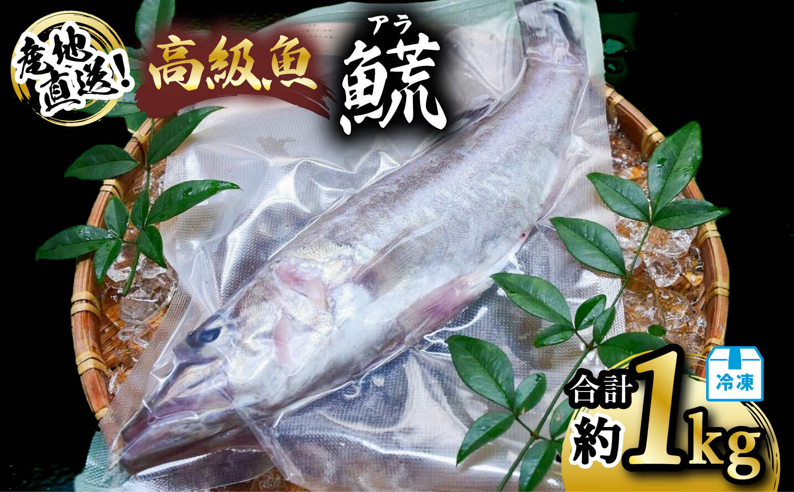 アラ 約1kg 産地直送 冷凍 下処理済 あら 𩺊 高級魚 水揚げ時重量約1kg 下処理後約900g