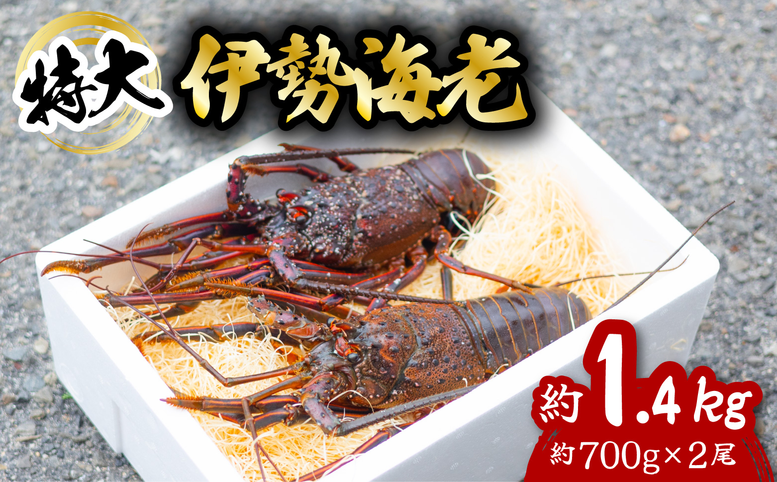 伊勢海老 特大 約1.4kg 約700g×2尾 伊勢えび 伊勢エビ いせえび イセエビ 海老 えび エビ 海鮮 海産物 海の幸 おせち 高級 国産 海鮮 ギフト 【配送日指定】