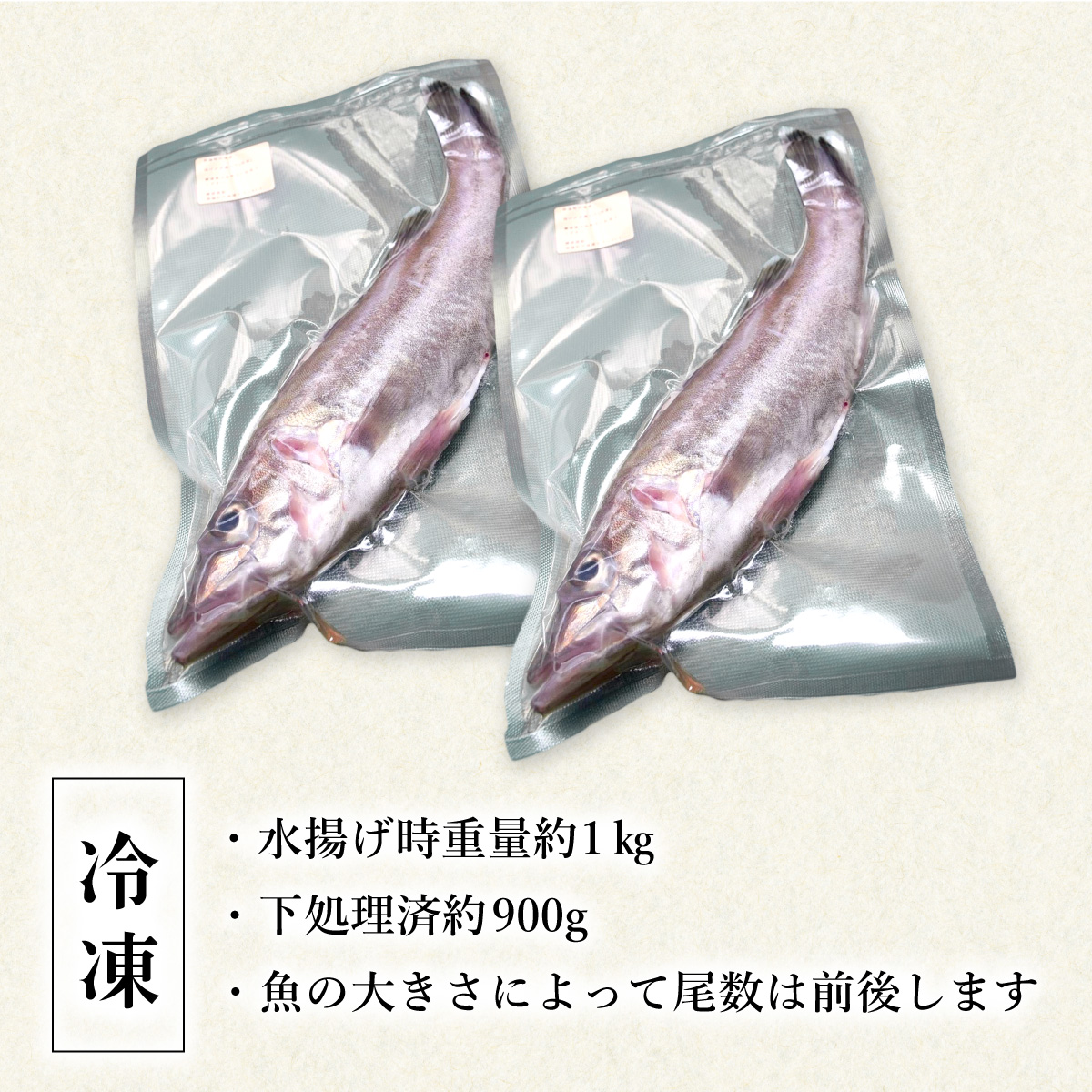 アラ 約1kg 産地直送 冷凍 下処理済 あら 𩺊 高級魚 水揚げ時重量約1kg 下処理後約900g