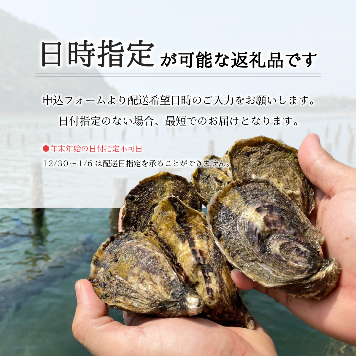 蜈郁。御コ育エ 縺ゅ∪縺ケ迚。陟」 33蛟 迚。陟」 繧キ繝ウ繧ー繝ォ繧キ繝シ繝 逕滄」溽畑 谿サ莉倥″ 縺九″ 繧ォ繧ュ 繧ェ繧、繧ケ繧ソ繝シ 逕溘ぎ繧ュ 逕溽横陟」 逕溘′縺 逕溘°縺 繧ョ繝輔ヨ 雋 譌ィ蜻ウ 縲2026蟷エ2譛茨ス3譛医↓縺雁ア翫¢縲